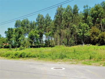 Terreno para Venda em São Felix da Marinha