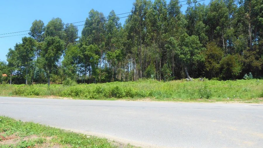 Terreno para Venda em São Felix da Marinha