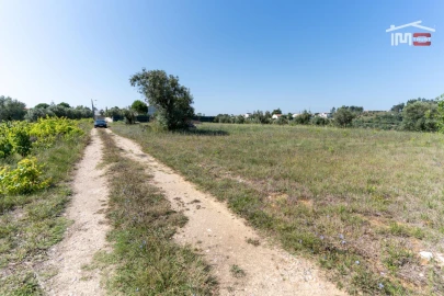 Terreno P/ Prédio para Venda em Alburitel