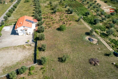 Terreno P/ Prédio para Venda em Alburitel