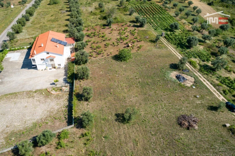 Terreno P/ Prédio para Venda em Alburitel Foto 6