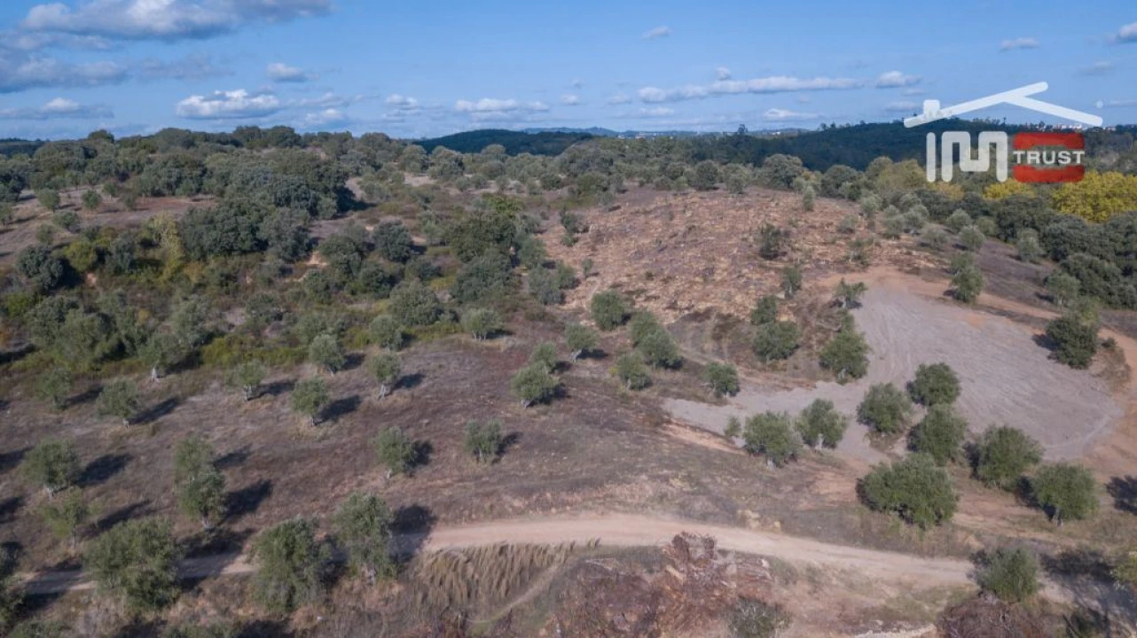 Quinta T6 para Venda em Além da Ribeira e Pedreira Foto 12