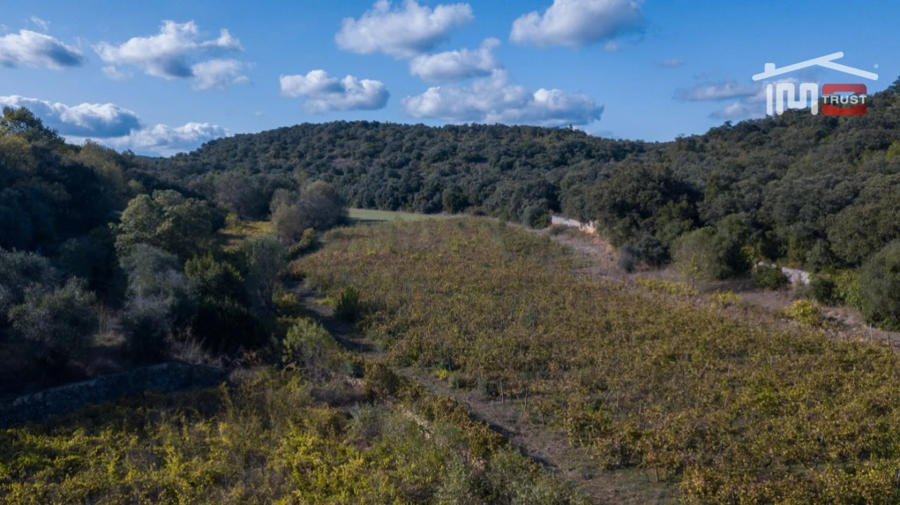 Quinta T6 para Venda em Além da Ribeira e Pedreira Foto 16