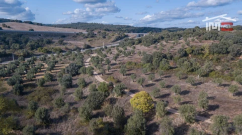 Quinta T6 para Venda em Além da Ribeira e Pedreira
