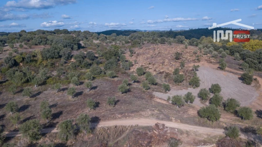 Quinta T6 para Venda em Além da Ribeira e Pedreira Foto 12