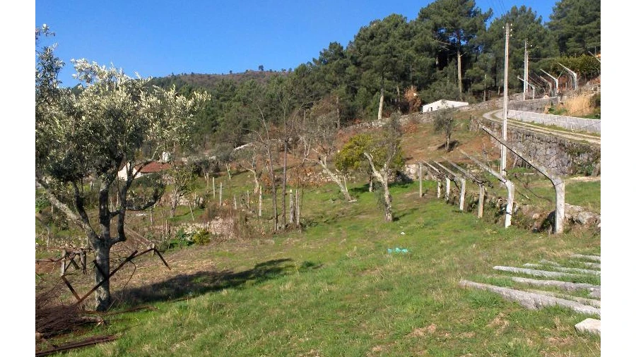 Terreno Agricola ou Rústico para Venda em Gestaço