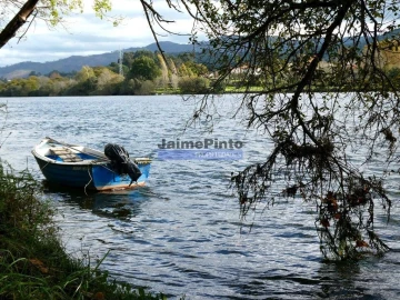 Quinta T0 para Venda em Santa Maria Maior e Monserrate e Meadela