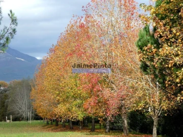 Quinta T0 para Venda em Santa Maria Maior e Monserrate e Meadela
