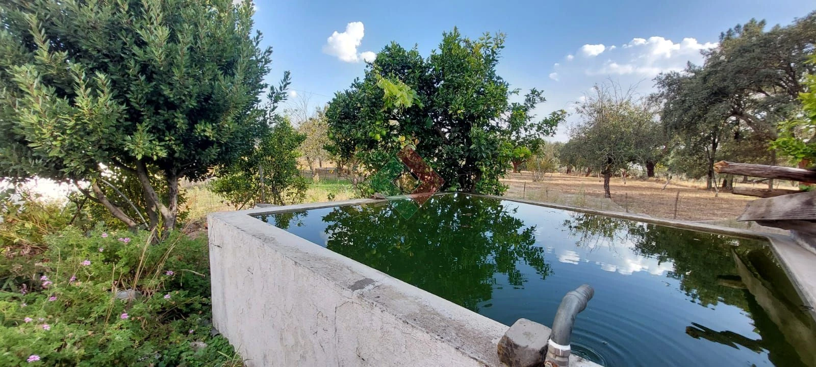 Quinta T4 para Venda em São Salvador da Aramenha Foto 8