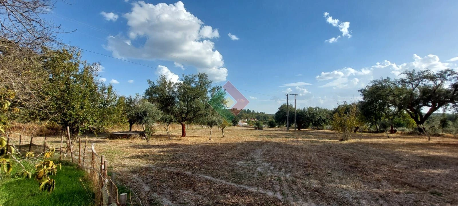 Quinta T4 para Venda em São Salvador da Aramenha Foto 9