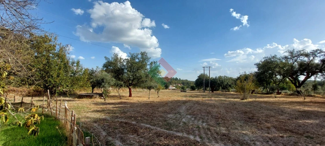 Quinta T4 para Venda em São Salvador da Aramenha Foto 9