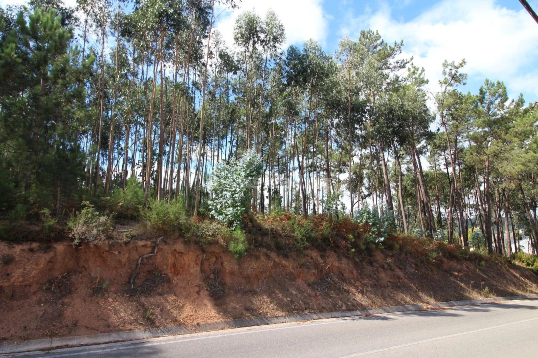 Terreno para Venda em Caranguejeira Foto 1