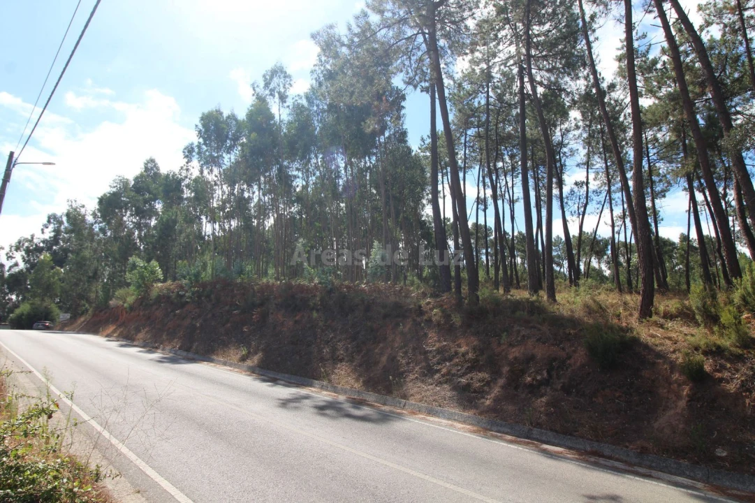 Terreno para Venda em Caranguejeira Foto 2