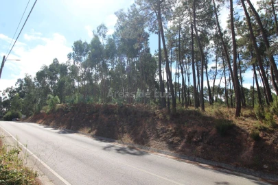 Terreno para Venda em Caranguejeira