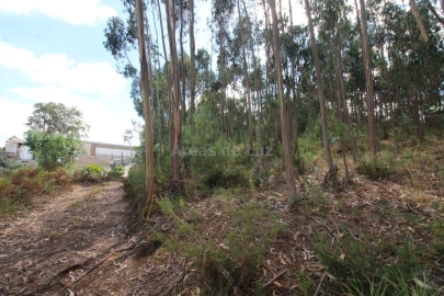 Terreno para Venda em Caranguejeira