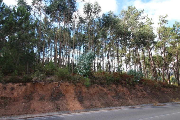 Terreno para Venda em Caranguejeira Foto 5