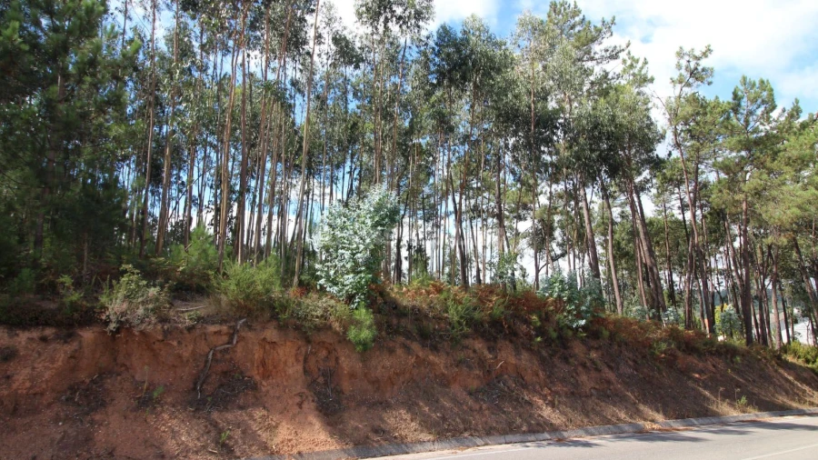 Terreno para Venda em Caranguejeira