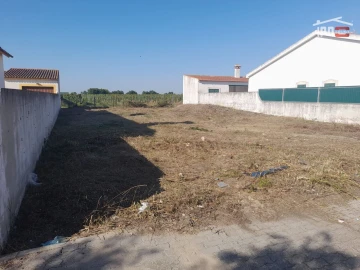 Moradia T3 para Venda em Muge