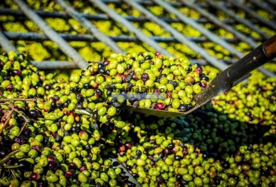 Prédio para Venda em Vila Nova de Foz Côa