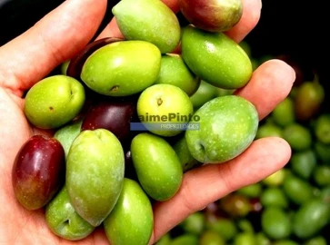Prédio para Venda em Vila Nova de Foz Côa