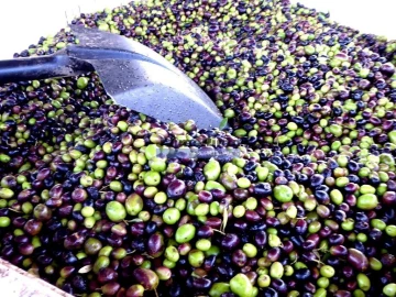 Prédio para Venda em Vila Nova de Foz Côa