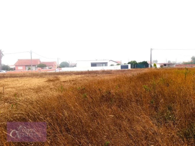 Terreno para Venda em Coimbrão Foto 6
