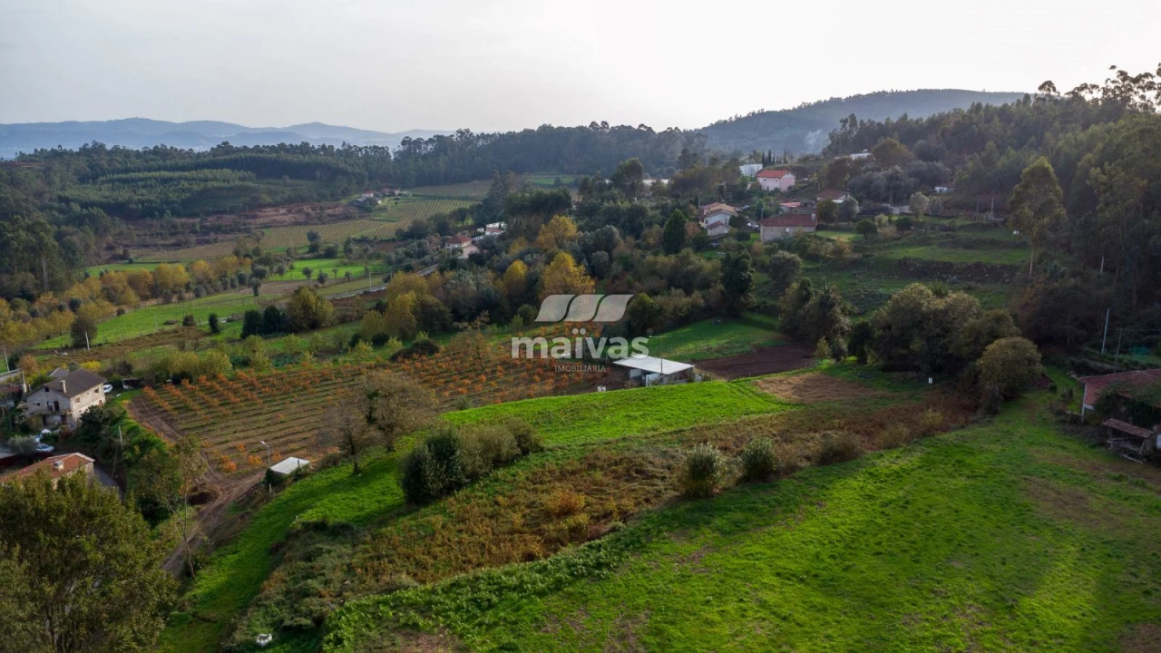 Terreno Agricola ou Rústico para Venda em Pico de Regalados, Gondiães e Mós Foto 2