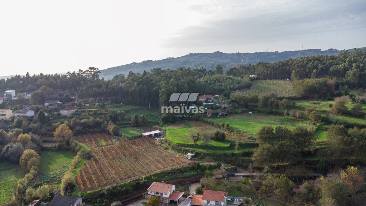 Terreno Agricola ou Rústico para Venda em Pico de Regalados, Gondiães e Mós Foto 8
