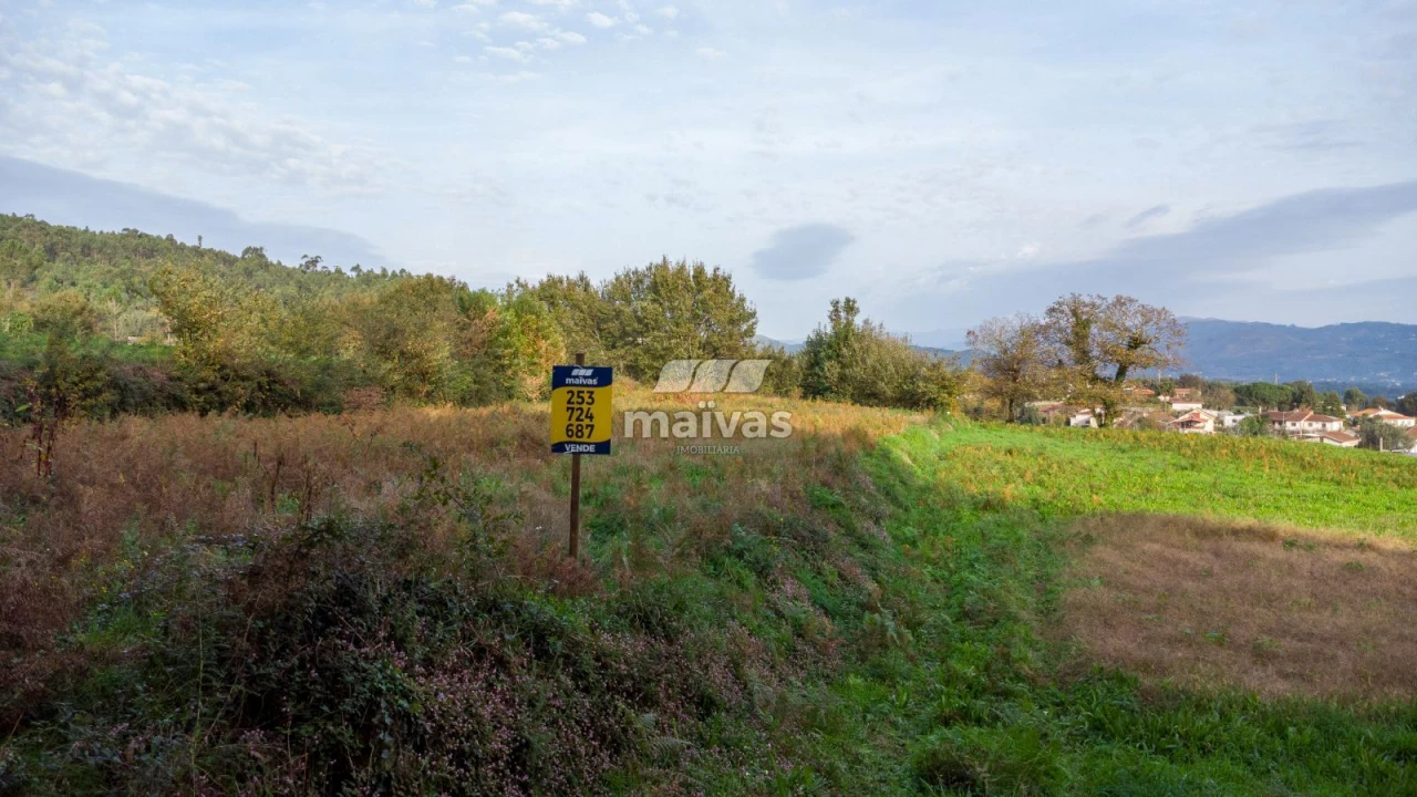 Terreno Agricola ou Rústico para Venda em Pico de Regalados, Gondiães e Mós Foto 10