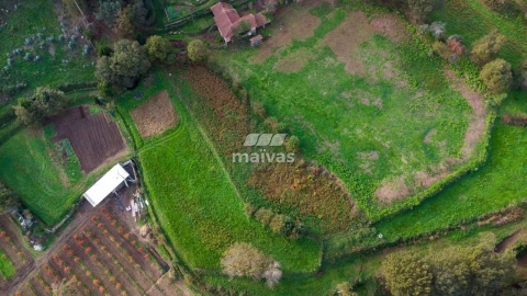 Terreno Agricola ou Rústico para Venda em Pico de Regalados, Gondiães e Mós
