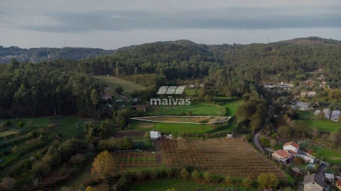 Terreno Agricola ou Rústico para Venda em Pico de Regalados, Gondiães e Mós