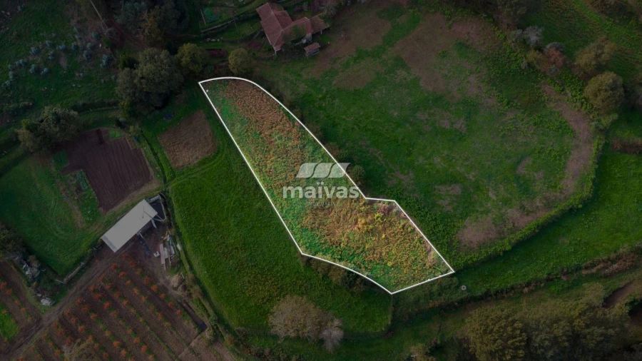 Terreno Agricola ou Rústico para Venda em Pico de Regalados, Gondiães e Mós Foto 4