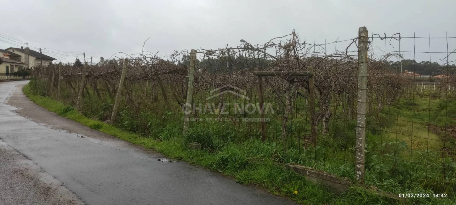 Terreno Misto para Venda em Oiã Foto 4
