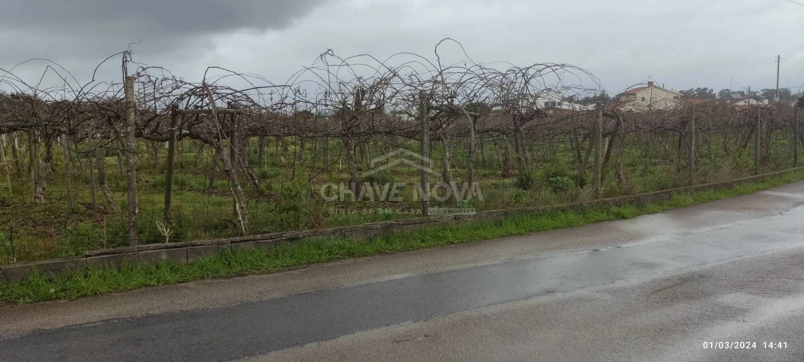 Terreno Misto para Venda em Oiã Foto 6