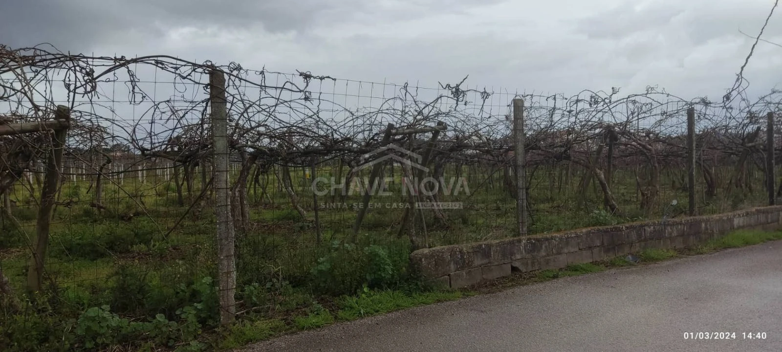 Terreno Misto para Venda em Oiã Foto 10