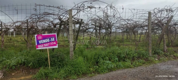 Terreno Misto para Venda em Oiã