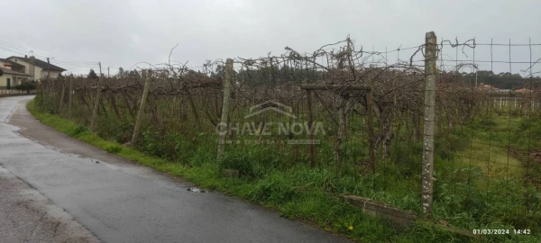 Terreno Misto para Venda em Oiã
