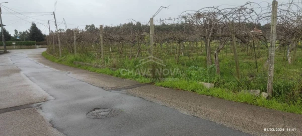 Terreno Misto para Venda em Oiã