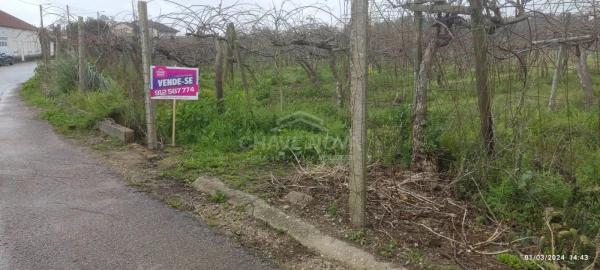 Terreno Misto para Venda em Oiã