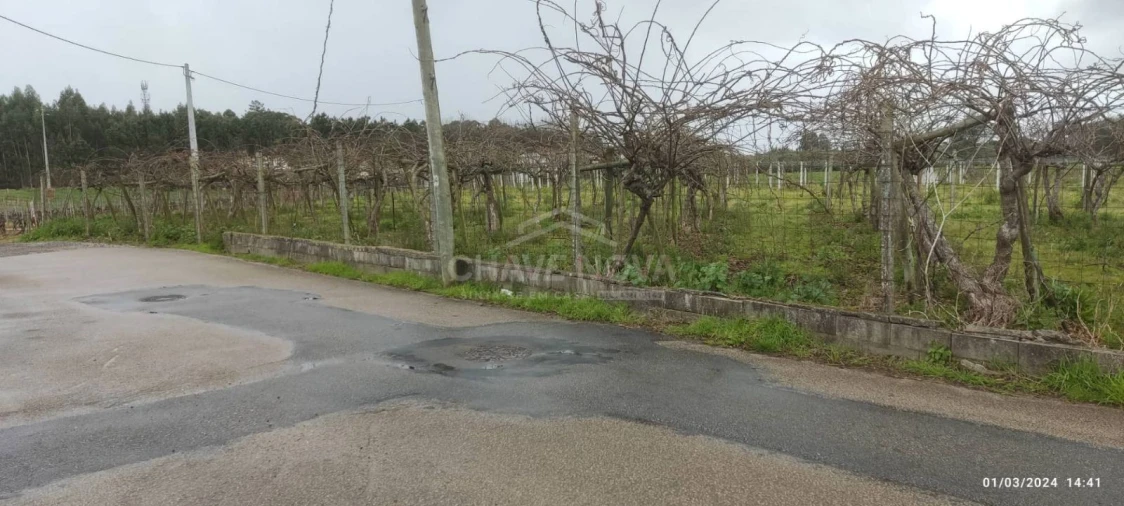 Terreno Misto para Venda em Oiã Foto 7