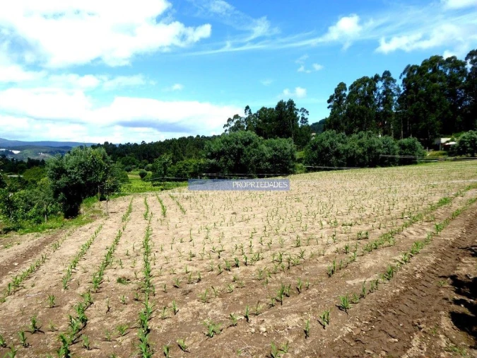 Terreno Agricola ou Rústico para Venda em Paredes de Coura e Resende Foto 2