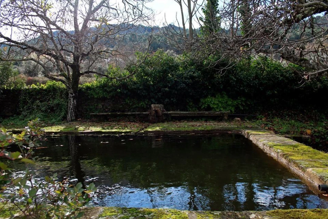 Quinta T4 para Venda em São João Baptista Foto 5