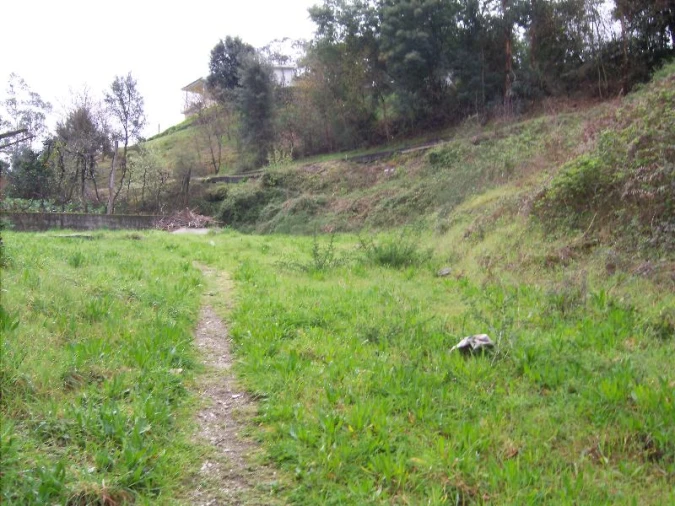 Terreno P/ Prédio para Venda em Povoa de Lanhoso (N. Senhora do Amparo) Foto 5