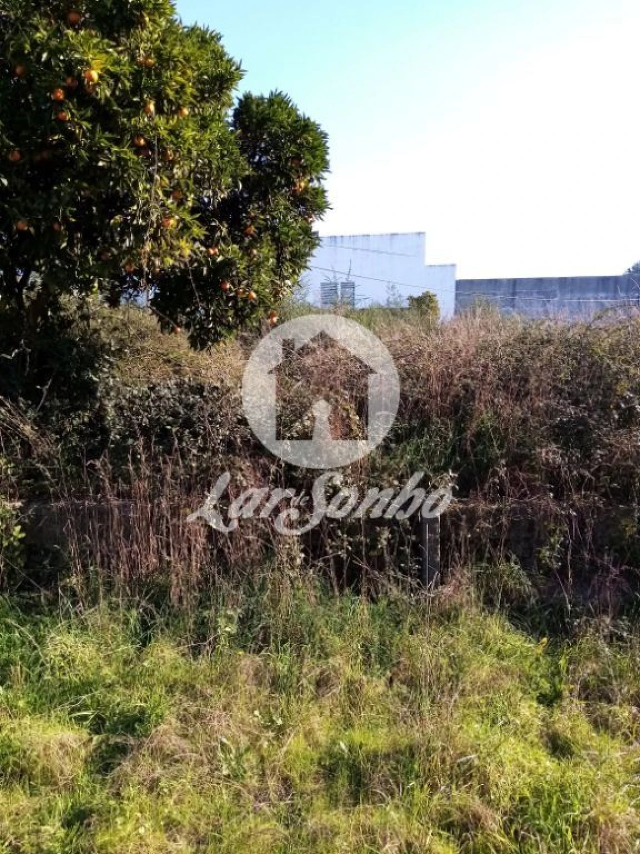 Terreno Misto para Venda em Vila Nova do Campo Foto 4