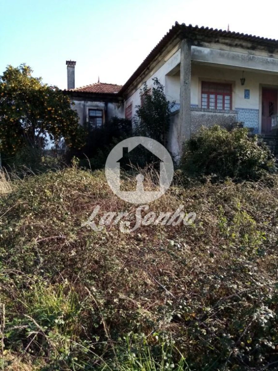 Terreno Misto para Venda em Vila Nova do Campo Foto 2