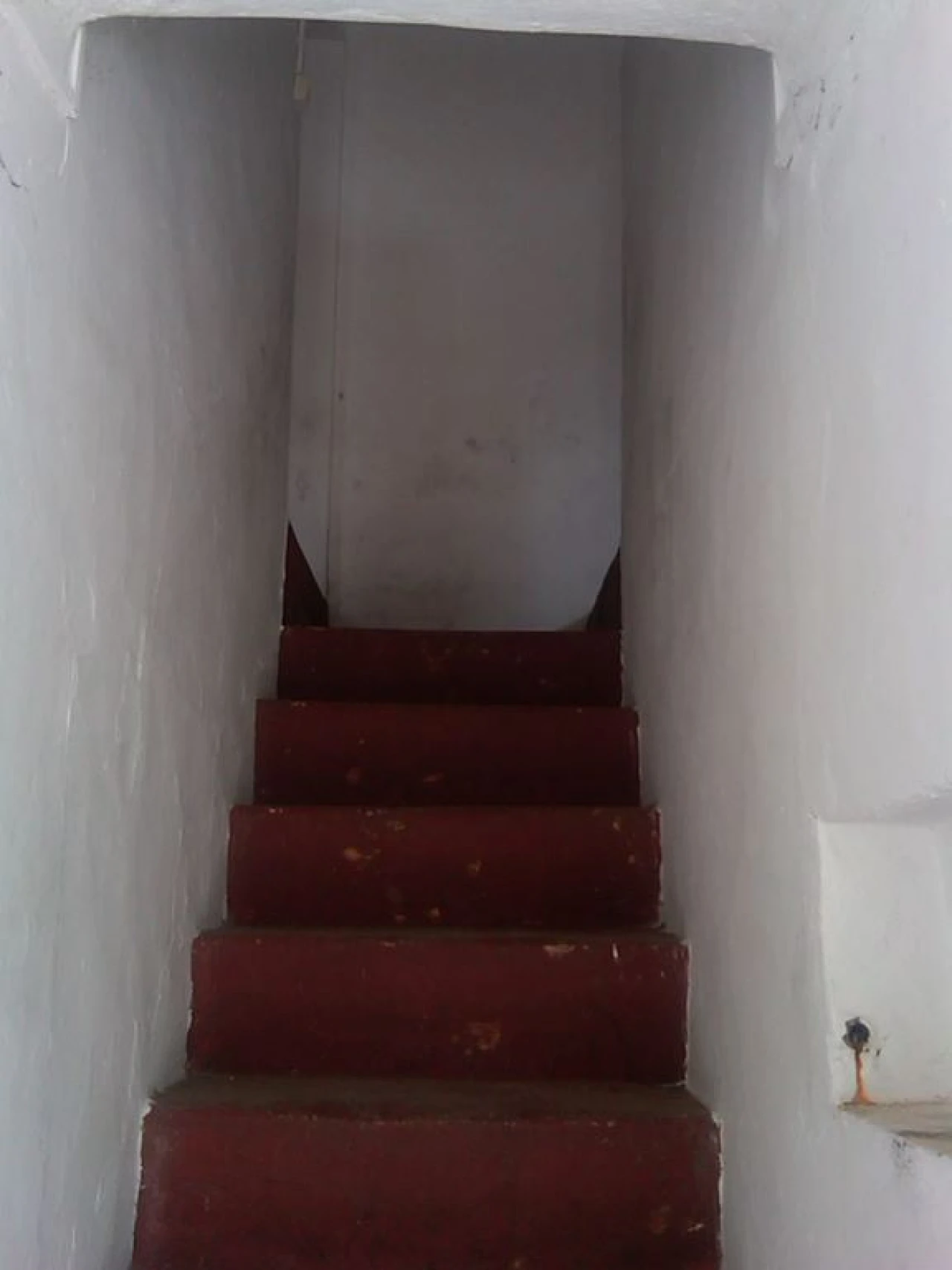 Moradia T4 para Venda em Assunção, Ajuda, Salvador e Santo Ildefonso Foto 4