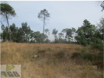 Terreno para Venda em Azeitão (São Lourenço e São Simão)