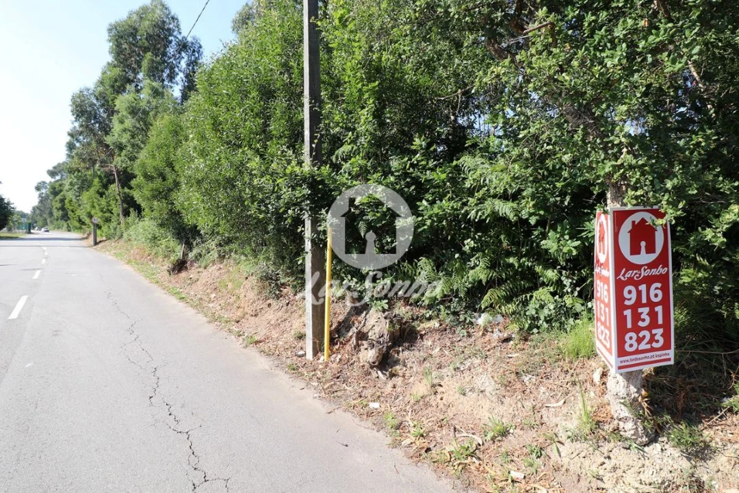 Terreno Agricola ou Rústico para Venda em Esmoriz Foto 2