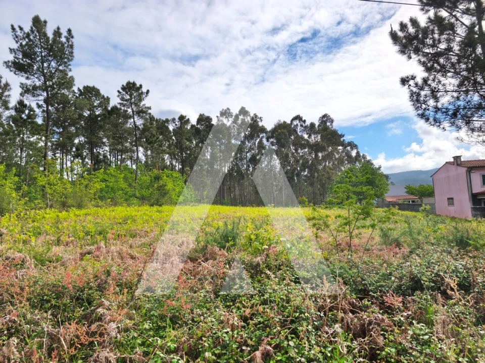 Terreno para Venda em Fragoso Foto 2