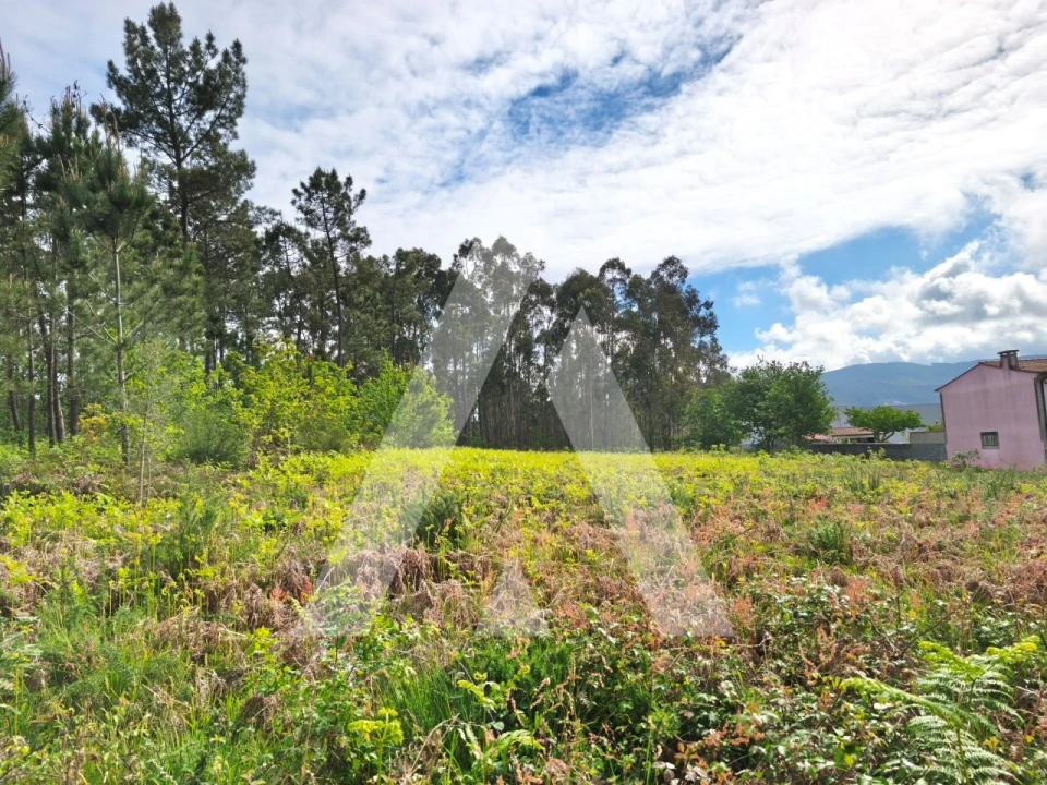 Terreno para Venda em Fragoso Foto 1